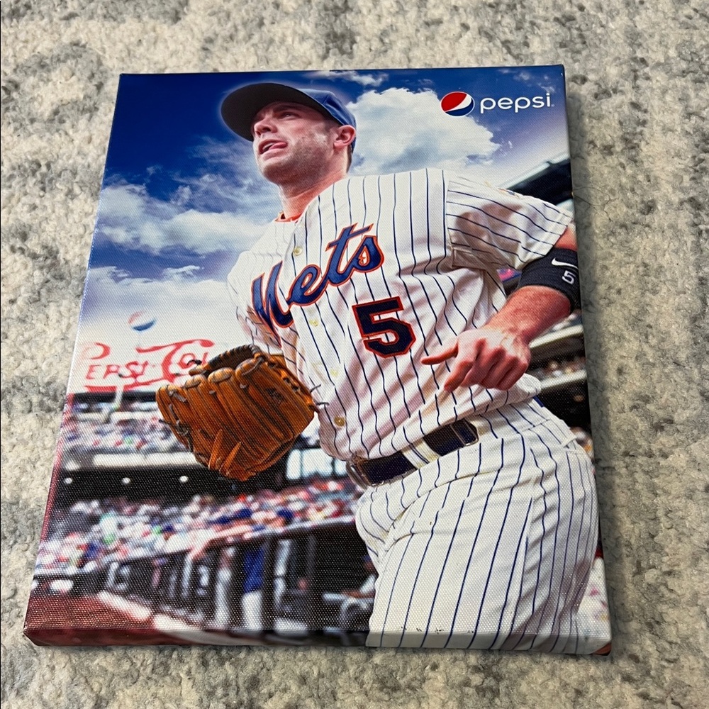 Pepsi Mets Baseball Canvas with Blue and White